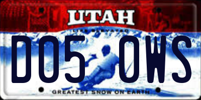 UT license plate D050WS