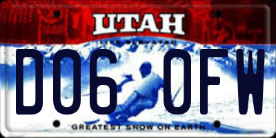 UT license plate D060FW
