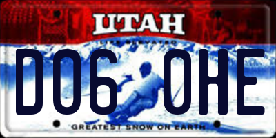 UT license plate D060HE