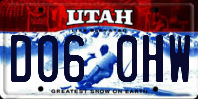 UT license plate D060HW