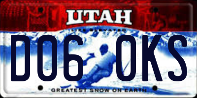 UT license plate D060KS