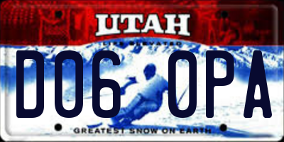 UT license plate D060PA