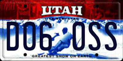 UT license plate D060SS