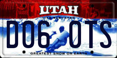 UT license plate D060TS