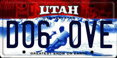 UT license plate D060VE