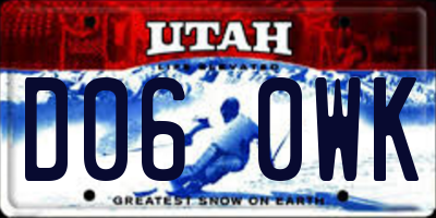 UT license plate D060WK