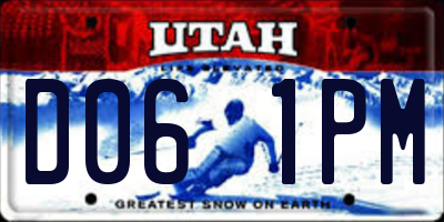 UT license plate D061PM