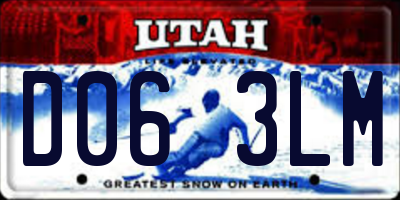 UT license plate D063LM