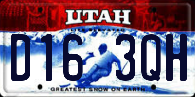 UT license plate D163QH