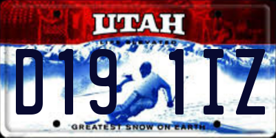 UT license plate D191IZ