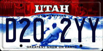 UT license plate D202YY