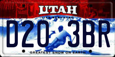 UT license plate D203BR