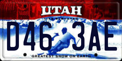 UT license plate D463AE
