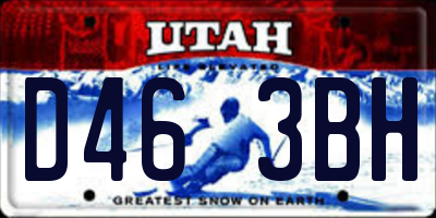 UT license plate D463BH