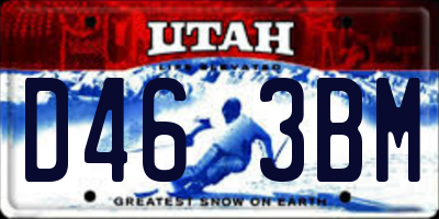 UT license plate D463BM