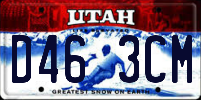 UT license plate D463CM
