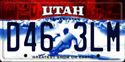 UT license plate D463LM