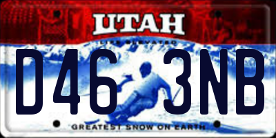 UT license plate D463NB