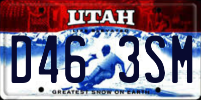 UT license plate D463SM