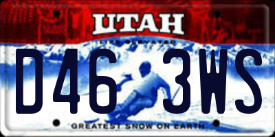 UT license plate D463WS