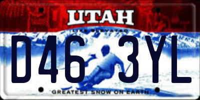 UT license plate D463YL