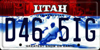 UT license plate D465IG
