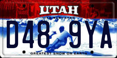 UT license plate D489YA