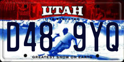 UT license plate D489YQ