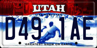 UT license plate D491AE