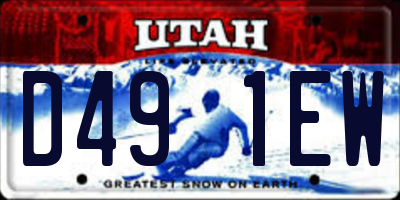 UT license plate D491EW