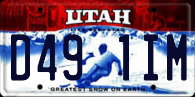 UT license plate D491IM