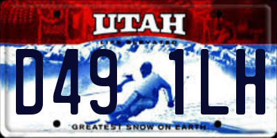 UT license plate D491LH