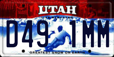 UT license plate D491MM