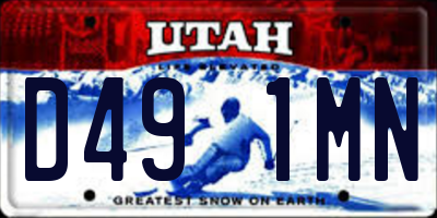 UT license plate D491MN
