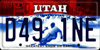 UT license plate D491NE