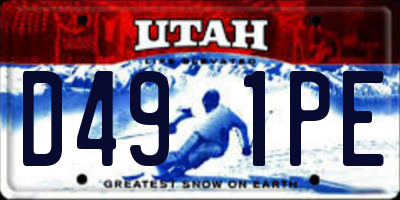 UT license plate D491PE
