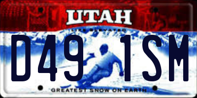 UT license plate D491SM