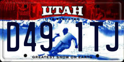 UT license plate D491TJ