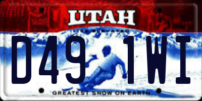 UT license plate D491WI