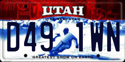 UT license plate D491WN