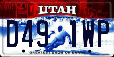 UT license plate D491WP