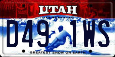 UT license plate D491WS