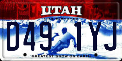 UT license plate D491YJ