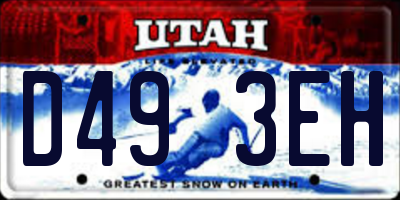 UT license plate D493EH