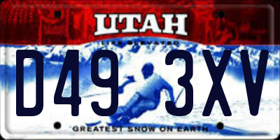 UT license plate D493XV