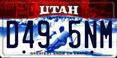 UT license plate D495NM