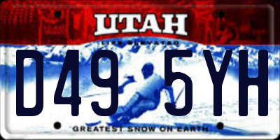 UT license plate D495YH