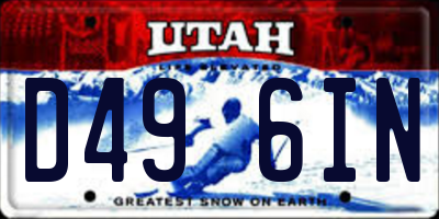 UT license plate D496IN