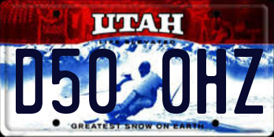 UT license plate D500HZ