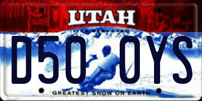 UT license plate D500YS